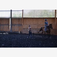 IMG-20240819-WA0041.jpg