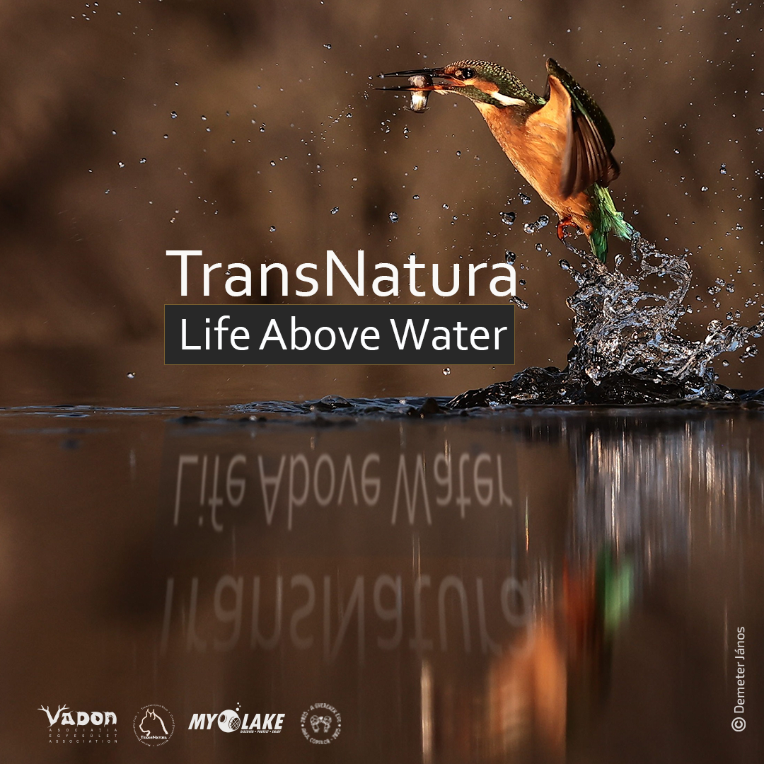    TransNatura Life Above Water – Expoziție subacvatică în Dalnic