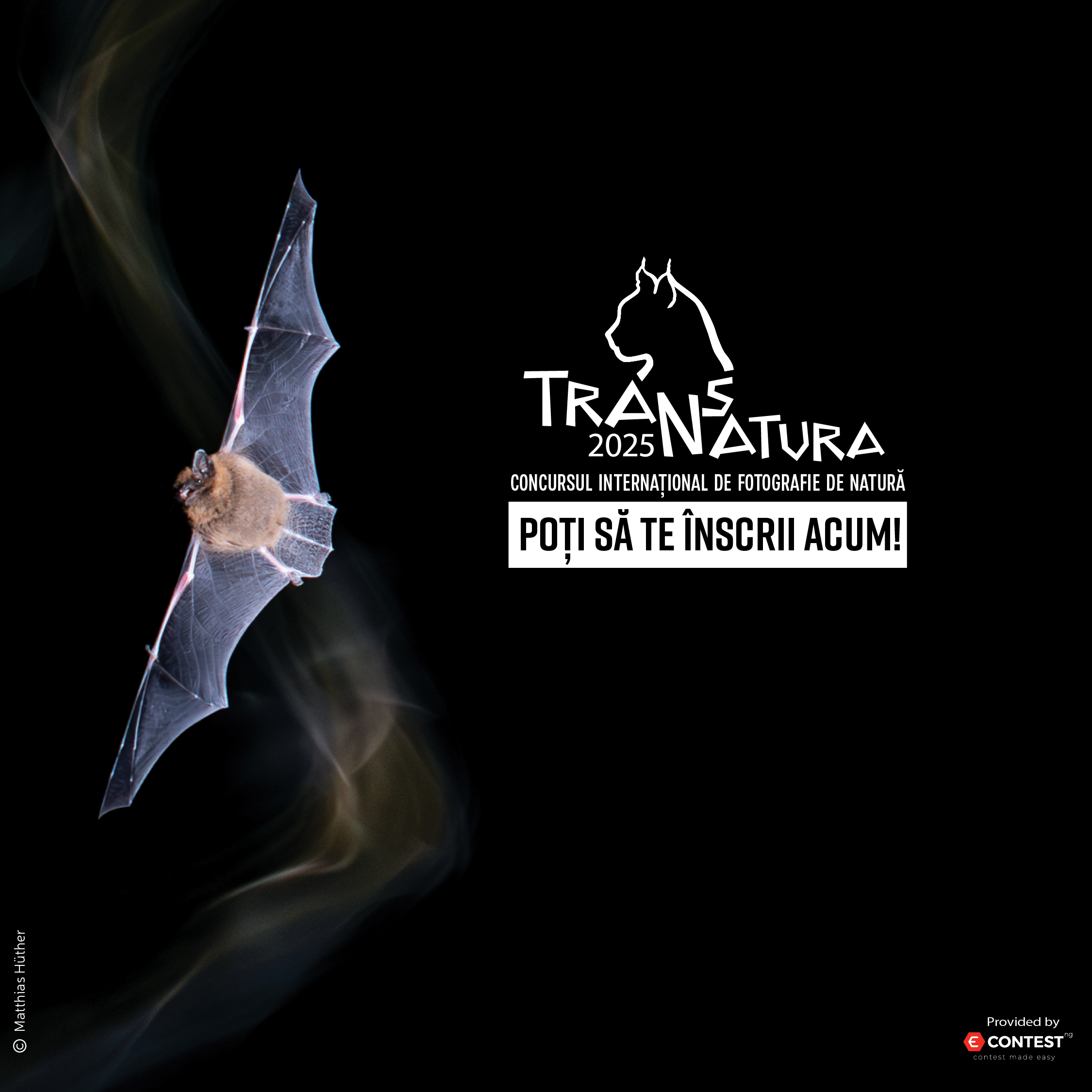 S-a deschis înscrierea la cea de-a XII-a ediție a Concursului Internațional de Fotografie de Natură TransNatura 2025!