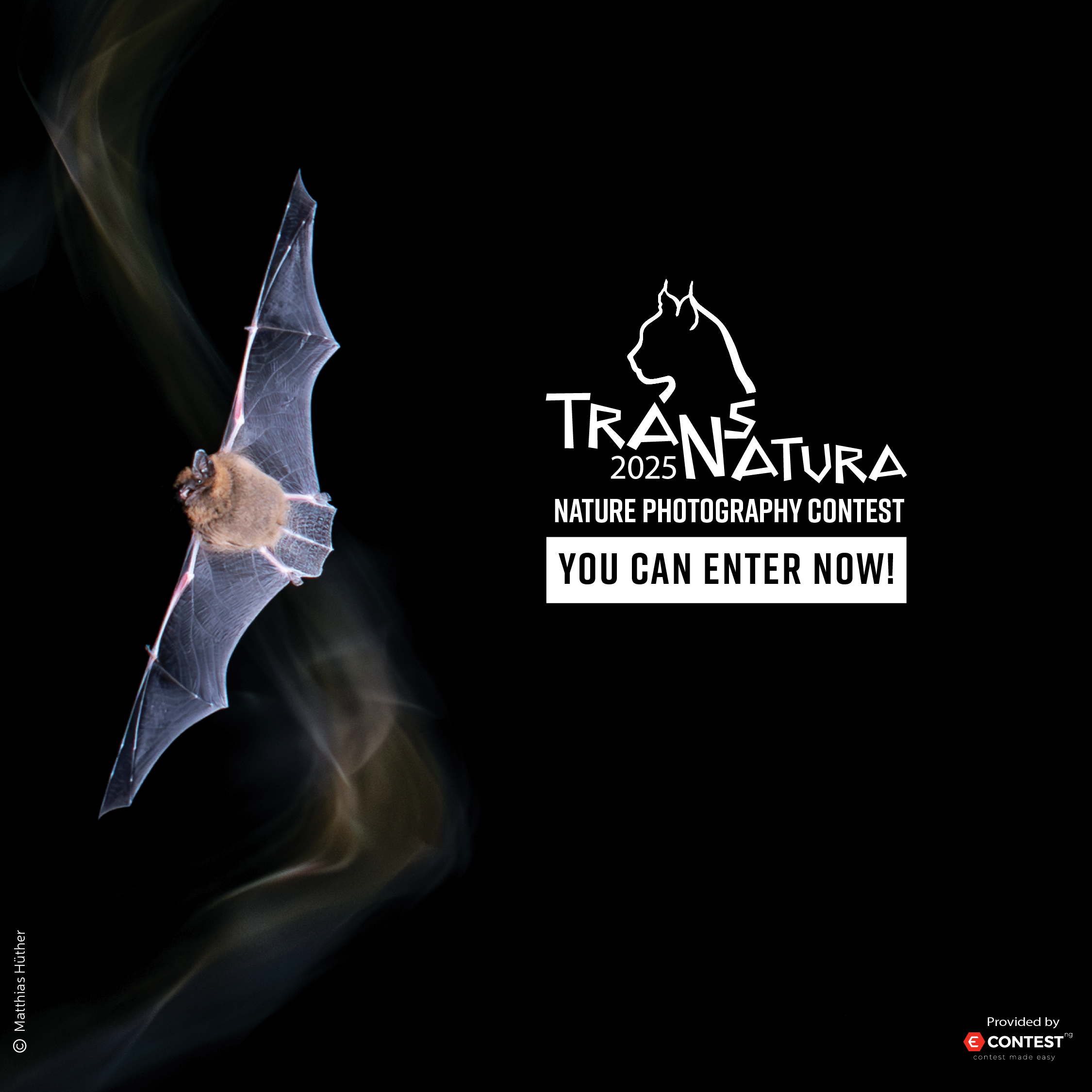 Entries are now open for the 12th TransNatura International Nature Photography Contest (2025)!