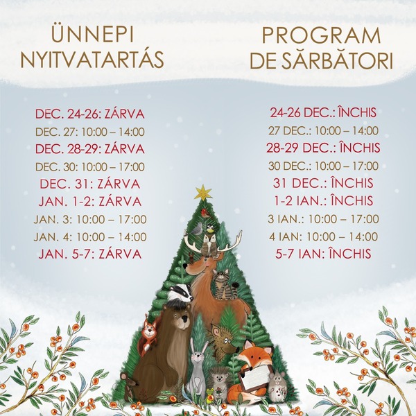 Program special de sărbători