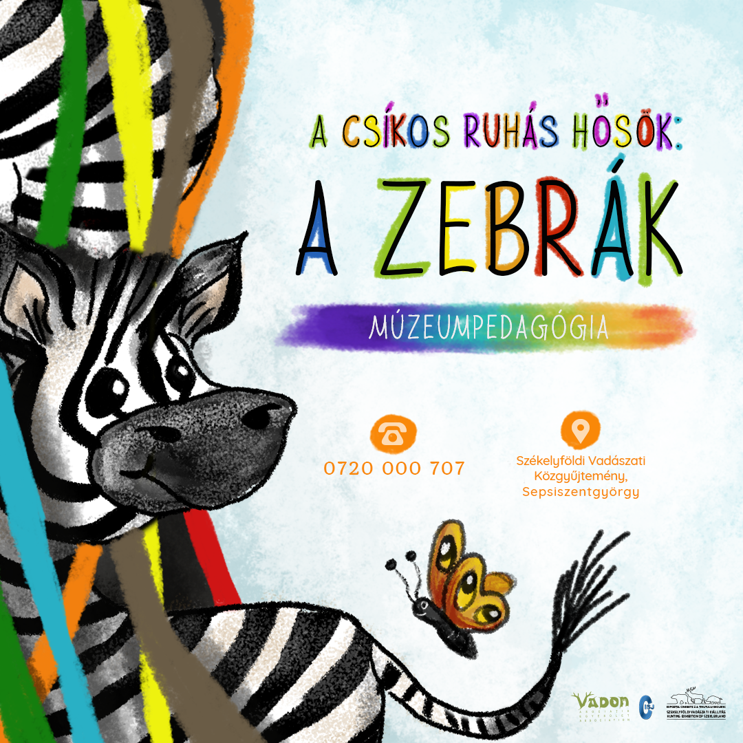 A csíkos ruhás hősök: A ZEBRÁK 