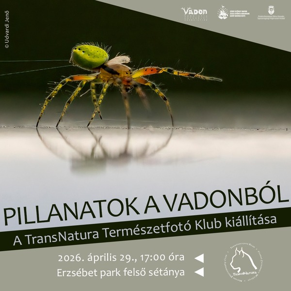 PILLANATOK A VADONBÓL - A TransNatura Természetfotó Klub kiállítása