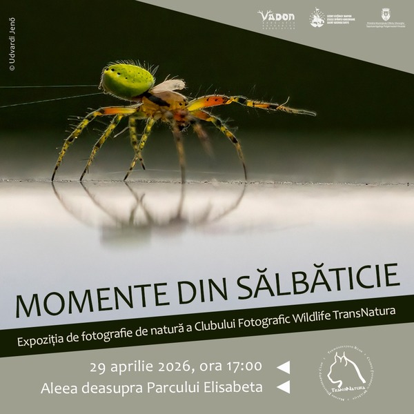 MOMENTE DIN SĂLBĂTICIE - Expoziția de fotografie de natură a Clubului Fotografic Wildlife TransNatura