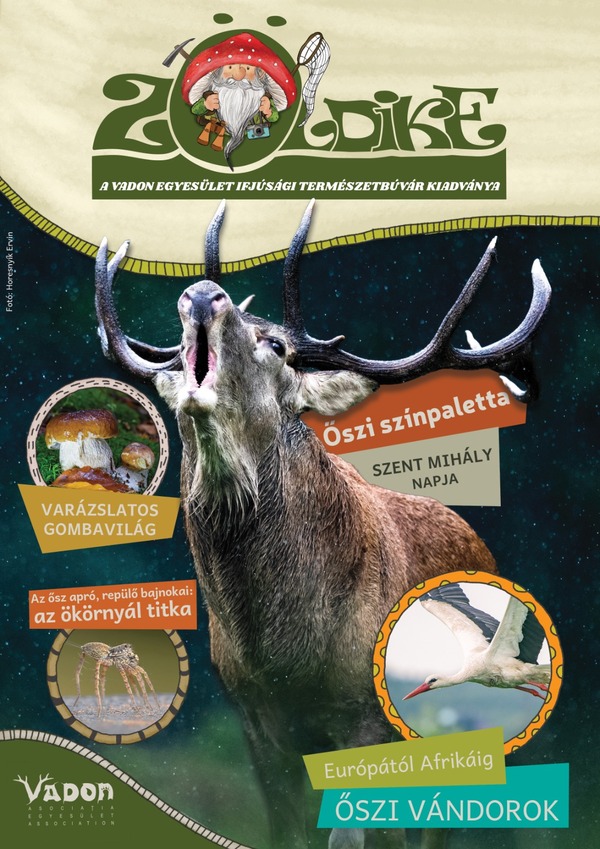 Zöldike, a természetismerettől a környezettudatos jövőig