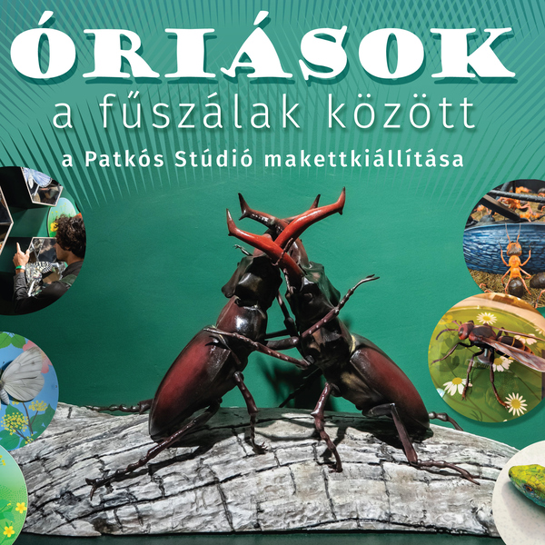  Óriások a fűszálak között