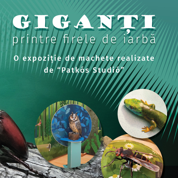 Giganți printre firele de iarbă